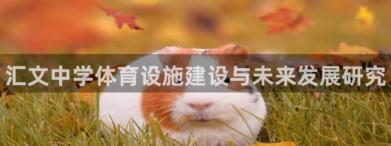 凯捷体育娱乐首页官网下载：汇文中学体育设施建设与未来发展研究