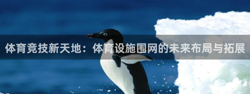 凯捷体育新能源：体育竞技新天地：体育设施围网的未来布局与拓展 