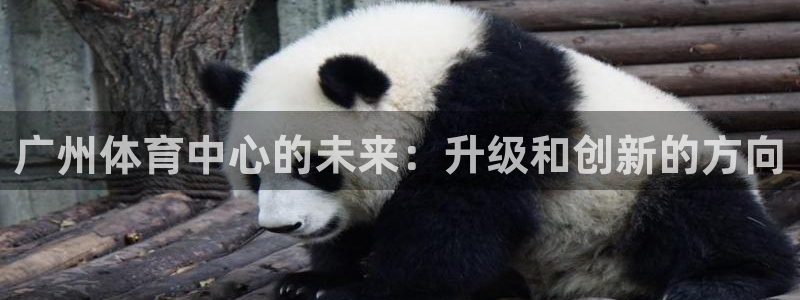 凯捷体育平台：广州体育中心的未来：升级和创新的方向