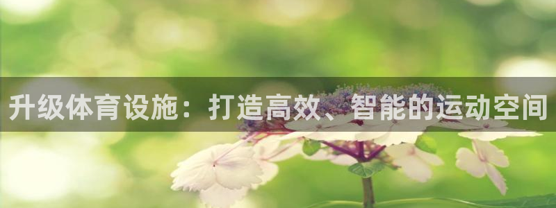 凯捷体育招商电话地址：升级体育设施：打造高效、智能的运动空间
