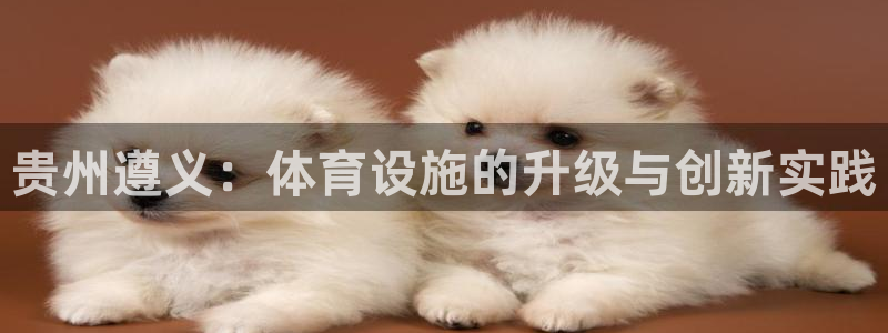 注册凯捷体育：贵州遵义：体育设施的升级与创新实践 
