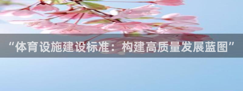 凯捷体育集团简介：“体育设施建设标准：构建高质量发展蓝图”