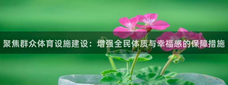 凯捷体育娱乐40996：聚焦群众体育设施建设：增强全民体质与 