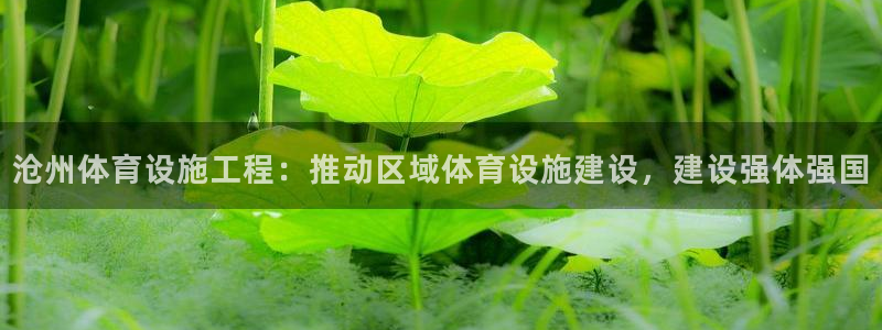 凯捷体育官网：沧州体育设施工程：推动区域体育设施建设，建设强 