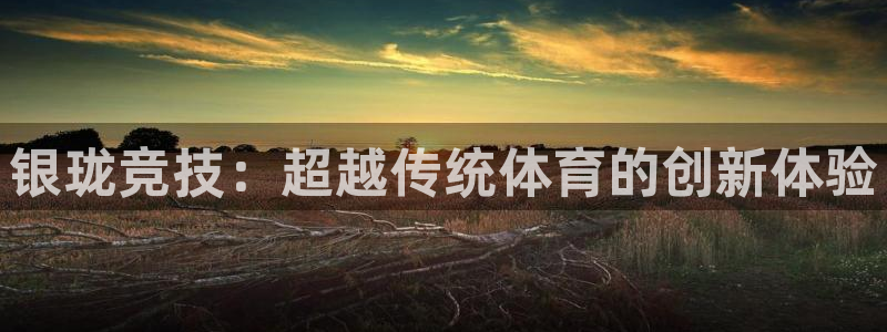 凯捷体育平台是正规平台吗：银珑竞技：超越传统体育的创新体验