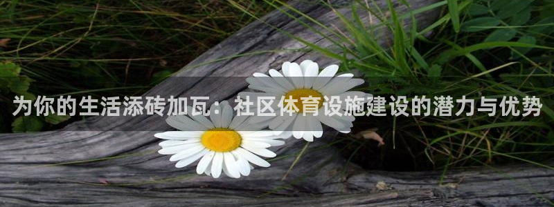凯捷体育平台是正规平台吗知乎：为你的生活添砖加瓦：社区体育设