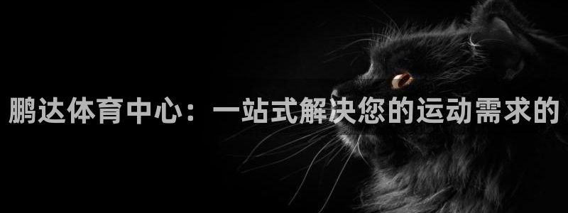 德国凯捷体育集团：鹏达体育中心：一站式解决您的运动需求的