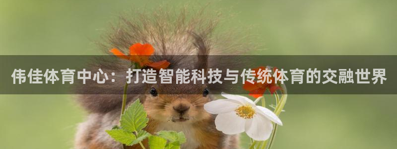 凯捷体育平台注册要钱吗：伟佳体育中心：打造智能科技与传统体育