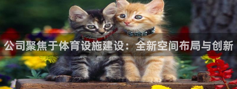 凯捷体育新能源：公司聚焦于体育设施建设：全新空间布局与创新 