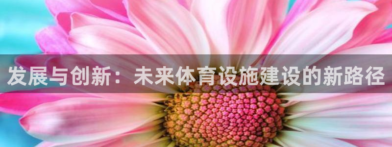 凯捷体育：发展与创新：未来体育设施建设的新路径